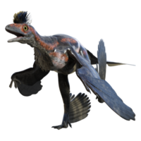 Microraptor dinosaur isolated on transparent png