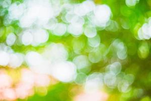 abstract blurred green bokeh leaves background and texture photo