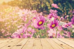 wood table and field cosmos with sunlight. vintage tone photo. photo