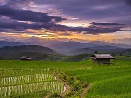 Sunset and Green Terraced Rice Field in Pa Pong Pieng , Mae Chaem, Chiang Mai, Thailand. photo