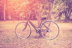 Clásico bicicleta en jardín con luz de sol. foto