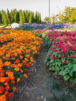 Colourful Flowerbeds and Winding Grass Pathway in an Attractive Thailand Formal Garden photo