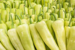 close up green pepper group. photo