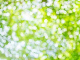 green bokeh light for natural background with space photo
