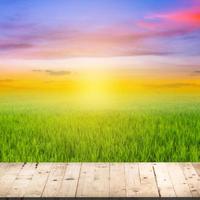 abstract blurred rice field and wood table with sunset photo