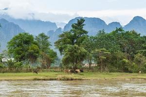 Landscape and mountain in Vang Vieng, Laos. photo