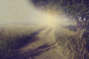 Vintage photo of road in country on field with tree