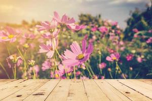 wood table and field cosmos with sunlight. vintage tone photo. photo