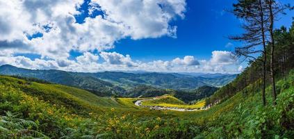 Panorama Tung Bua Tong Mexican sunflower in Maehongson, Thailand photo