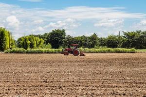 tractor trabajando en campo agricultura. foto