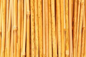 Wheat stalks yellow dry straw texture background. Ripe cut stem plants. Dry reed sticks. Twigs wood branches. photo