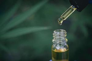 Cannabis oil against Marijuana plant, CBD oil pipette, natural herb, hemp product, medical marijuana concept. photo