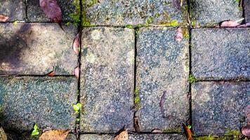 paving block with autumn leaves as background photo