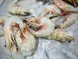 Close-up Fresh shirmp or prawn  with shell at local seafood market for sale,Fresh shirmps or prawns are available in supermarkets is a popular seafood with a delicious taste,shrimp or prawn background photo