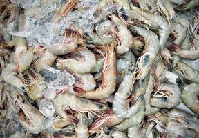 Close-up Fresh shirmp or prawn  with shell at local seafood market for sale,Fresh shirmps or prawns are available in supermarkets is a popular seafood with a delicious taste,shrimp or prawn background photo