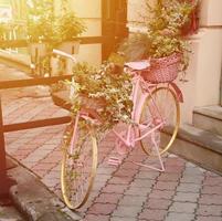 Old pink bicycle equipped with basket of flowers decoration photo