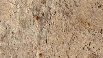 limestone texture suitable for background photo