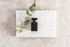 top view of a black matte bottle of men's perfume on a marble podium and a eucalyptus branch. gray concrete background. space for text. photo