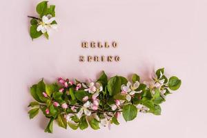 Apple tree blossom branch white background flat lay. White flowering buds top view template long web banner. Copy space backdrop mockup design. photo