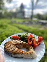 Dish of red Fish with vegetables. Grilled Salmon. Barbecue in nature. photo