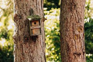 old Wooden bird house on a tree in the forest. Bird feeder on a tree in one of the parks. Caring for the environment photo