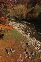Beautiful nature landscape. View of mountain wild river in Carpathian mountains during sunny autumn day, Ukraine. a place for relaxation, a table and a bench in nature photo