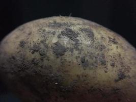 Planet of Potato photo