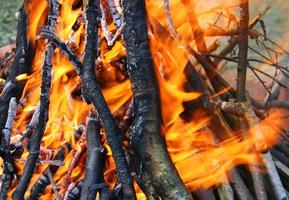 Burning wood in fire, close-up natural background photo