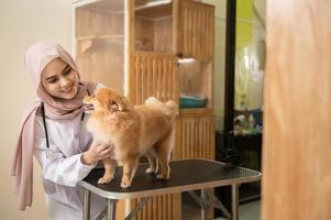 joven hembra musulmán veterinario con estetoscopio examinando perro en veterinario clínica foto
