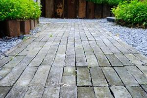 Brick Pathway in the Park. photo