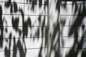 Leaves Shadow on Corner of Wall. photo