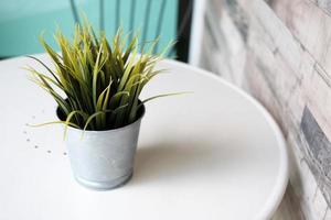 Green Grass in Aluminium Bucket on the White Table in the Cafe. photo