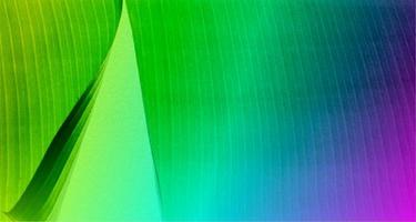 Fibrous background with gradient colors photo