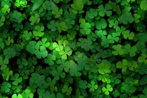 Closeup green leaves on blur background,nature concept,shamrock or water clover plant photo