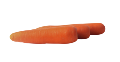 zanahorias en un transparente antecedentes