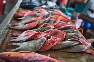 fisherman selling a packet of beautiful fishes in the market in town photo