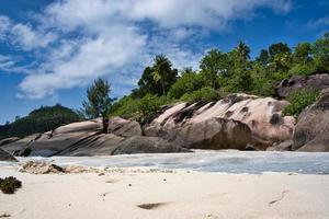 bajo ángulo Disparo de playa, rock cantos rodados y lozano vegetación foto