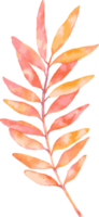Watercolor Leaves Nature Isolated Element Illustration Clipart Illustration png