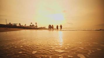 uma grupo do ásia adolescentes dentro camisas caminhando por aí a ondas do a de praia areia com seus amigos video