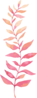 Watercolor Leaves Nature Isolated Element Illustration Clipart Illustration png