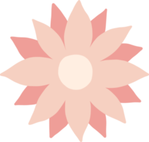 färgrik glans blommig ljus element illustration png