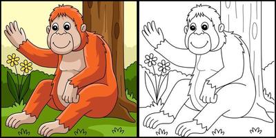 Orangutan Animal Coloring Page Illustration vector