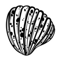 Marine seashell or mollusk with dots for design of invitation, fabric, textile, etc. vector