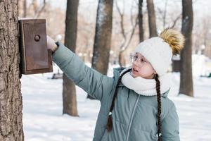 un Adolescente niña vierte semillas dentro un pájaro alimentador en un árbol en un invierno bosque. caminar al aire libre. foto