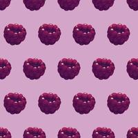 Seamless pattern with cartoon juicy blackberries on purple background vector