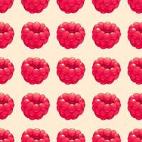 Seamless pattern with cartoon juicy raspberries on white background vector