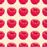 Seamless pattern with cartoon juicy raspberries on white background vector