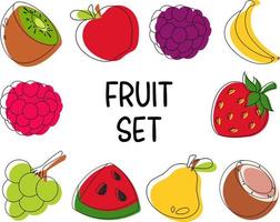 Set of drawn fruit, outline and paint. Apple, pear, grape, raspberry, blackberry, kiwi, coconut, banana, strawberry, plum vector