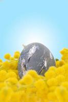 Painted gray egg with silver smears in yellow mimosa. Vertical. Easter. Copy space photo