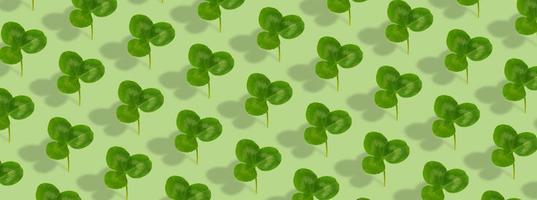 Clover leaf pattern on colored background. Abstract banner background for St. Patrick's Day photo